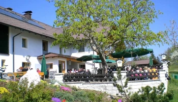 Almgasthof Schwarz - Aurach Am Hongar