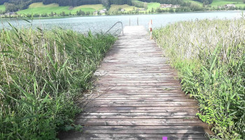Badeplatz des Landes Oberösterreich In Zell am Moos - Österreich