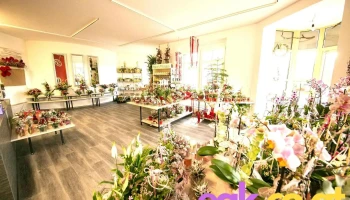 Blumen Plettig Krottendorf - Krottendorf Bei Ligist