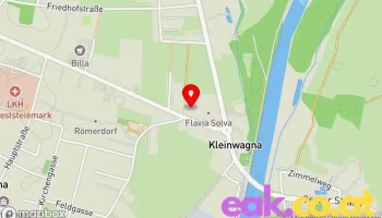 Ekosen Spezialisten für IR-Heizung - Wagna