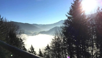 Energieform - Austria