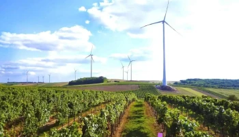 Ews Consulting GmbH - Munderfing
