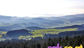EXIT-sozial - Psychosoziale Beratung Sterngartl - Bad Leonfelden