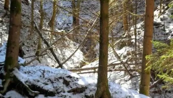 Gemeinde Rohrbach in Oberösterreich - Austria