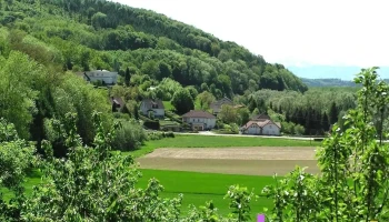 Luftenberg an der Donau - Luftenberg An Der Donau