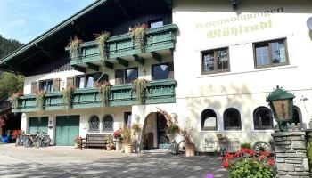 Mühlradl Apartments Gosau - 4825