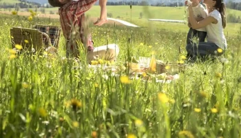 Naturpark Almenland - Fladnitz An Der Teichalm