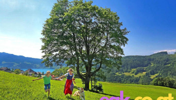 Naturpark Attersee-Traunsee - Steinbach Am Attersee