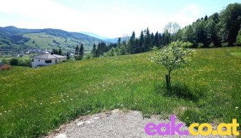 Oberwang - Oberwang