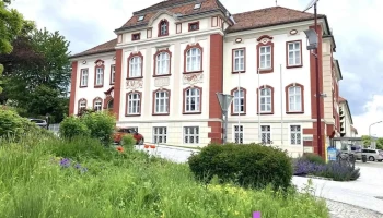 Stadtgemeinde Weiz - Weiz