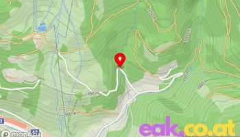 Staumauer Wald a. Schoberpass - Wald Am Schoberpaß