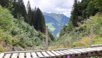 Stein - Stein
