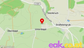 Steiner Energiesysteme - Unterdoppl