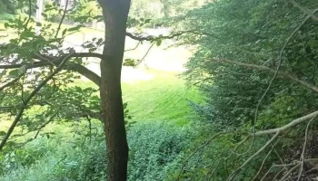 Weng im Innkreis - Weng Im Innkreis