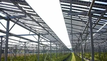 Wurzers Agri-PV für Beeren | Rwa Solar Solutions - Bodensdorf