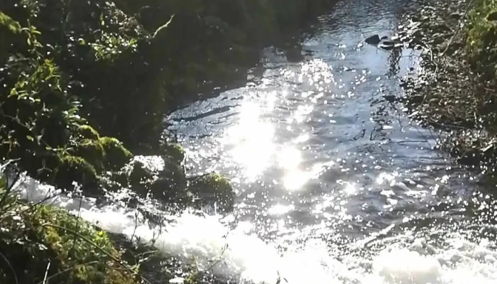 Adlwang -  Videos - Adlwang