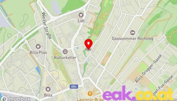 Aee -    Institut Fur Nachhaltige Technologien Karte - Gleisdorf