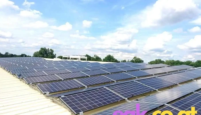 Bau-Solar Südwest GmbH - 76768 Berg (Pfalz)