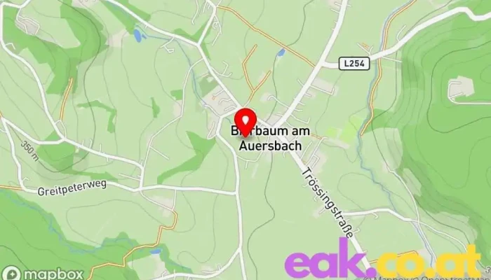 Bierbaum Am Auersbach -  Karte - Bierbaum Am Auersbach