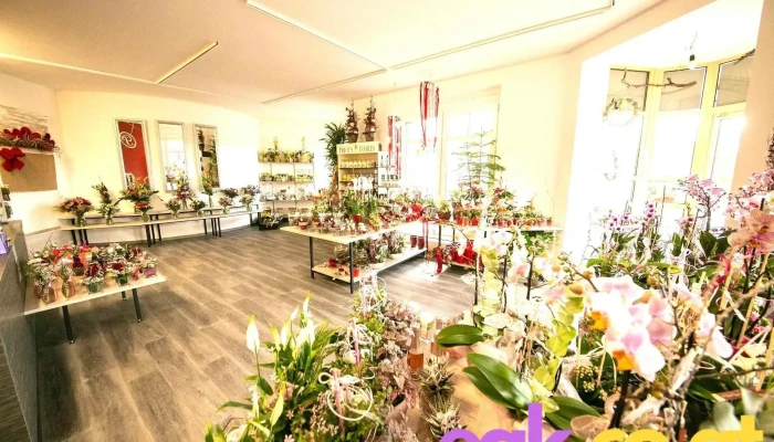 Blumen Plettig Krottendorf - Krottendorf Bei Ligist