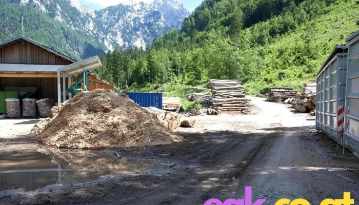 Buchen -  Brennholzat   Offner Kraftwerke Gmbh Vom Inhaber - Graz