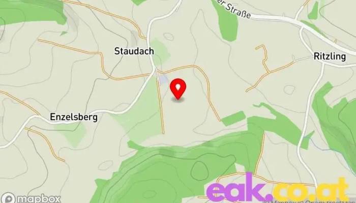 Buddy Works - Austria