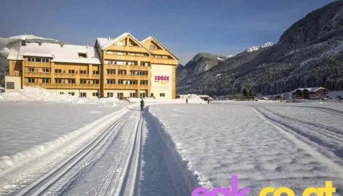 Cooee Alpin Hotel Dachstein -  Alle - Gosau