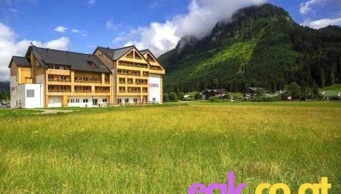 Cooee alpin Hotel Dachstein - Gosau