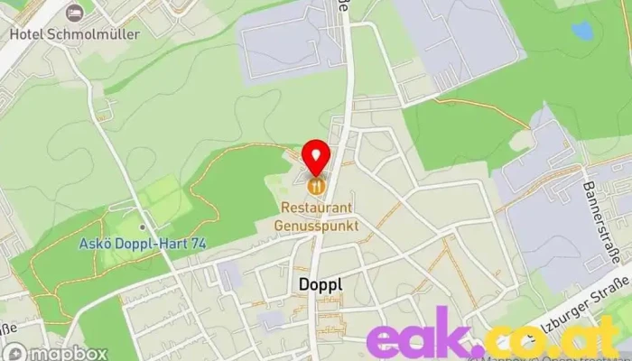 Karte von Doppl:Punkt Veranstaltungsstätte, Veranstaltungsraum in Leonding