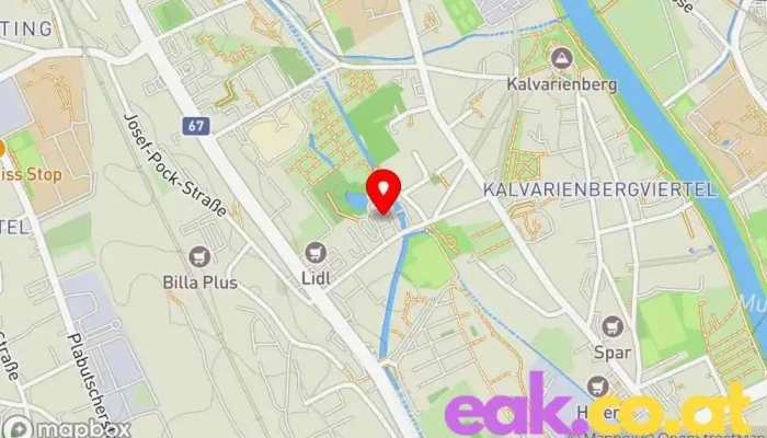 Elektrizitatswerk Gosting V Franz Gmbh Karte - Graz