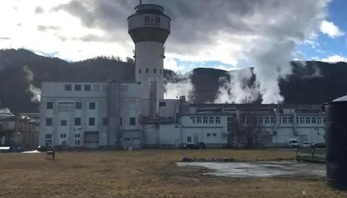 Energie- u Abfallverwertungs GesmbH - Niklasdorf