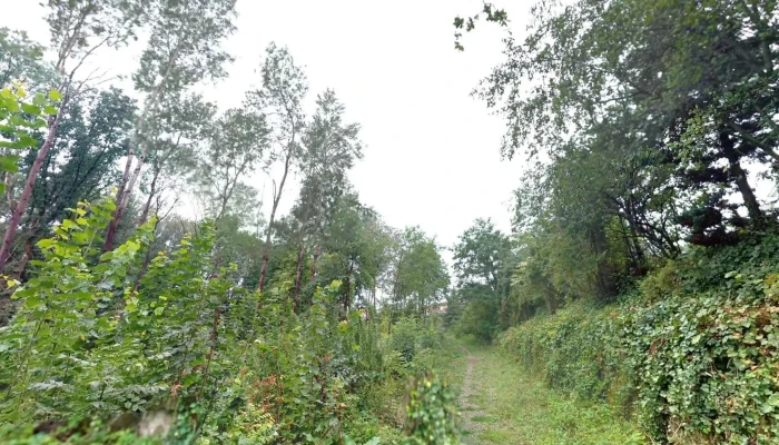 Engerwitzdorf -  Street View 360deg Fotos - Engerwitzdorf