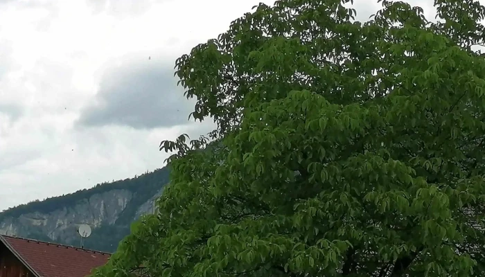 Evangelische Pfarrgemeinde Ab Bad Goisern Preise - Bad Goisern Am Hallstättersee