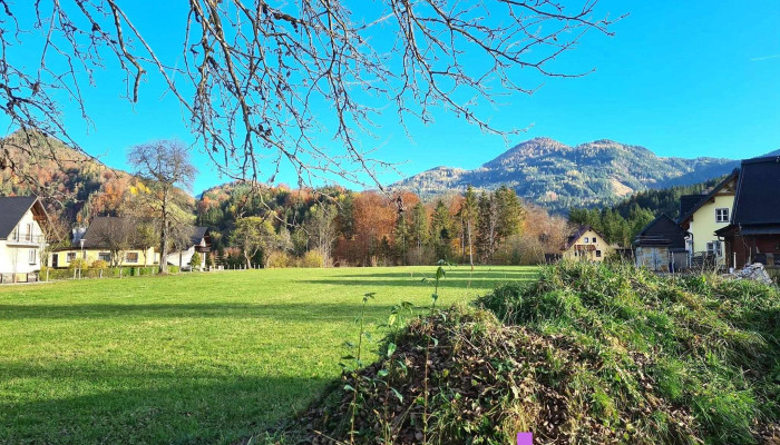 Gams Bei Hieflau -  Berg - Gams Bei Hieflau