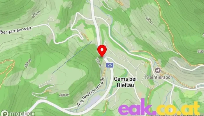 Gams Bei Hieflau -  Karte - Gams Bei Hieflau