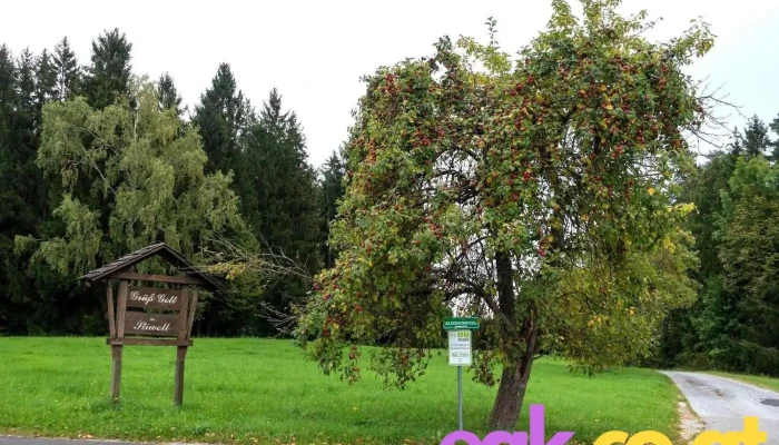 Gemeinde Stiwoll - Stiwoll