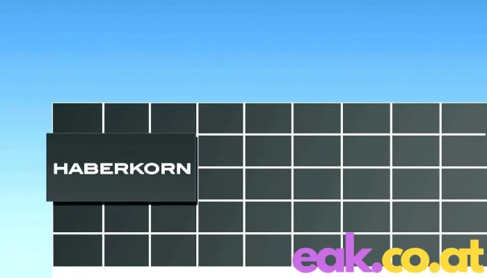 Haberkorn Leonding - Leonding