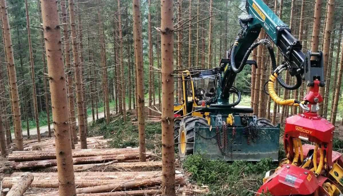 Holzernte Nievoll Taferner Gmbh Alle - Kindberg