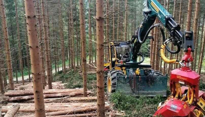 Holzernte Nievoll Taferner GmbH - Kindberg