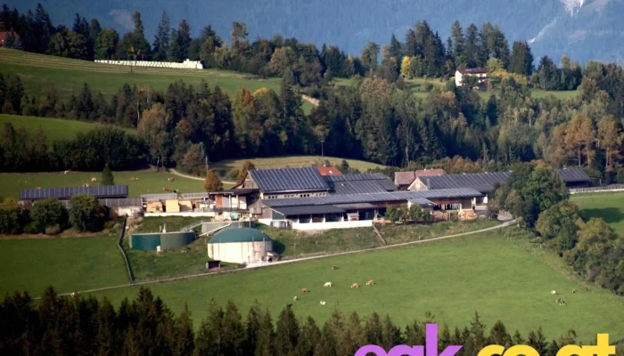 Ing Franz Penz Alle - Edelschrott