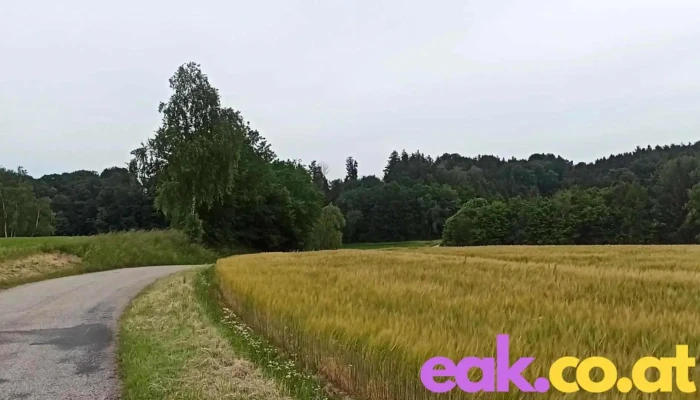 Kammern Im Liesingtal -  Videos - Kammern Im Liesingtal