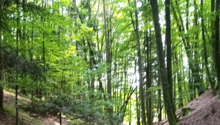 Landring Technik Zentrum Hirnsdorf -  Offnungszeiten - Feistritztal