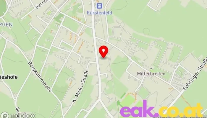 Leader -    Lag Thermenland Wechselland Karte - Fürstenfeld