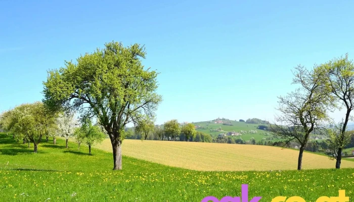 Leader Traunviertler Alpenvorland -  Vom Inhaber - Steinbach An Der Steyr