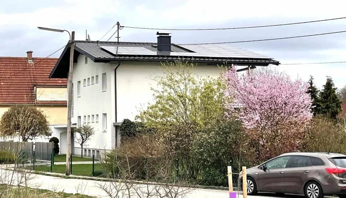 Lotus Energy Beg - Austria
