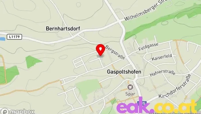 Manfred Hartmann - Gaspoltshofen
