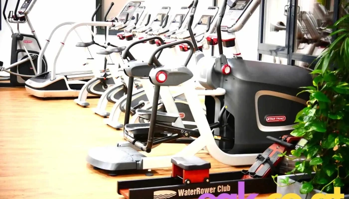 Mein Training Vorchdorf - Vorchdorf