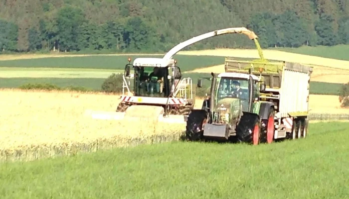 Nge Naturgas Engerwitzdorf - Ländlicher Zufahrtsweg Steinreith