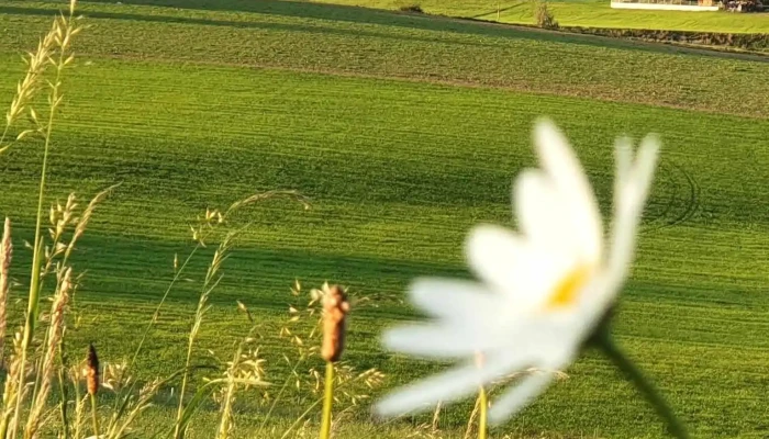 Oepping -  Alle - Oepping