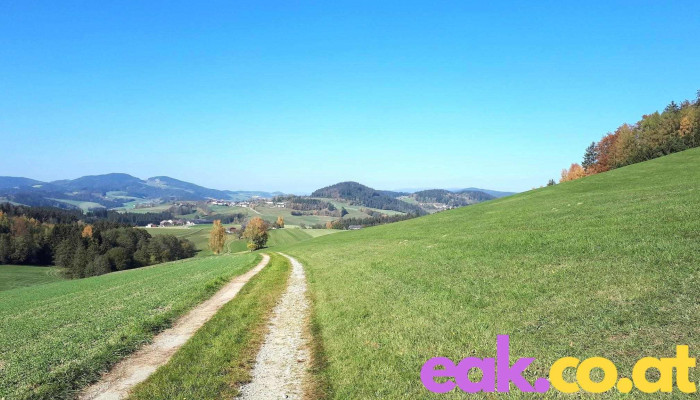 Rohrbach -  Berg - Rohrbach